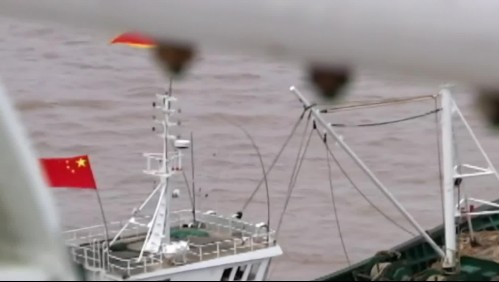 Flota China: Alerta por barcos pesqueros cerca de las costas chilenas
