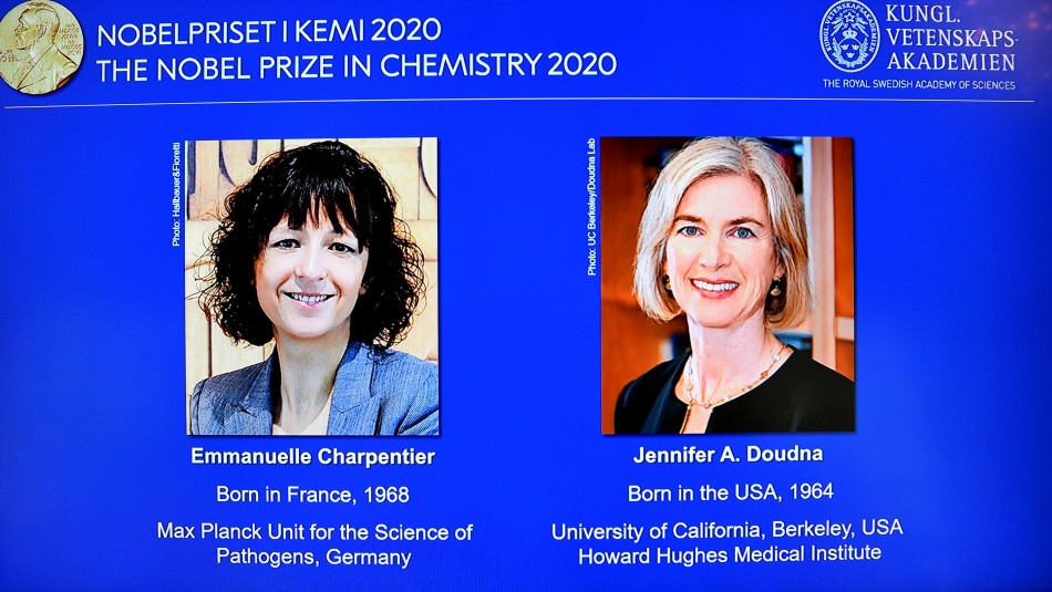 Las ganadores del Nobel en Química, Emmanuelle Charpentier y Jennifer Doudna Dos mujeres genetistas de Francia y EEUU ganan el Premio Nobel de Química