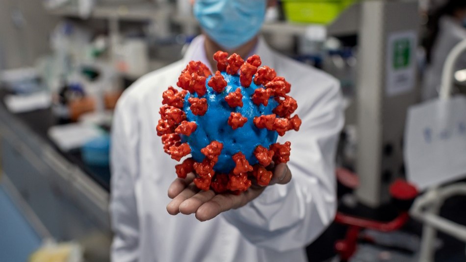 Advierten que coronavirus permanece activo por más de nueve horas en la piel Advierten que coronavirus permanece activo por más de nueve horas en la piel