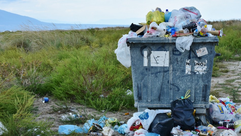 Canadá prohibirá bolsas y otros plásticos de uso único Canadá prohibirá bolsas y otros plásticos de uso único