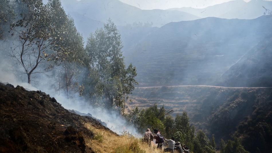 Cusco, Perú. Extinguen incendio forestal cercano a zona arqueológica de Cusco