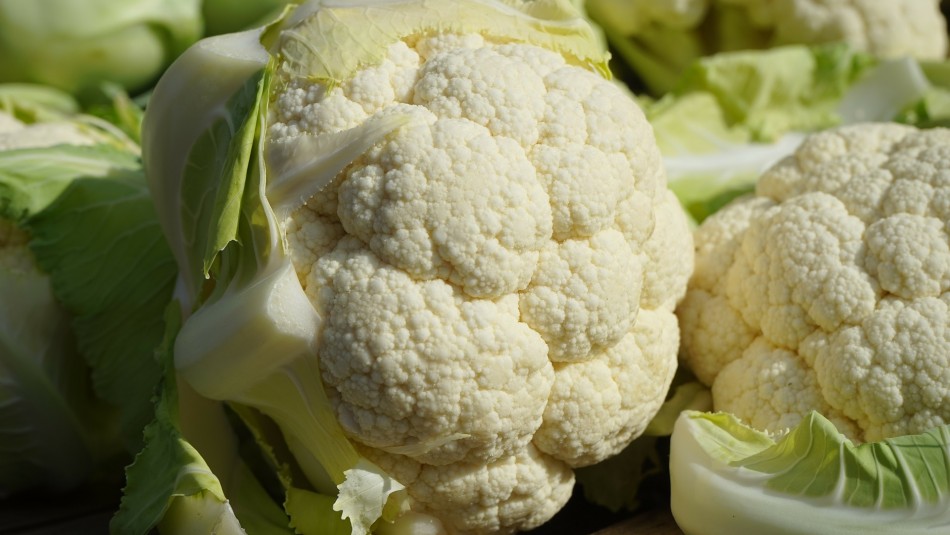 Propiedades antioxidantes: Mira los beneficios de consumir coliflor Propiedades antioxidantes: Mira los beneficios de consumir coliflor