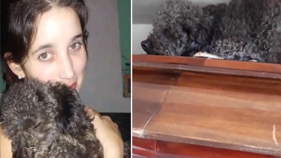 Amor incondicional: Perro acompaña a su dueña en el cementerio a cuatro años de su muerte Amor incondicional: Perro acompaña a su dueña en el cementerio a cuatro años de su muerte