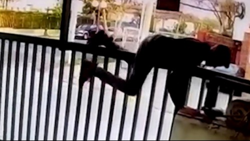 Ocupación ilegal: Aumenta usurpación de viviendas