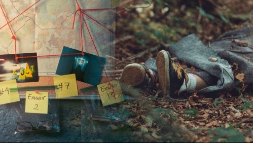 Lo que se sabe sobre los dos casos que han remecido a El Noviciado