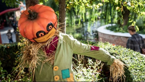 Prohíben celebraciones de Halloween en Italia: Son 'una enorme estupidez estadounidense'