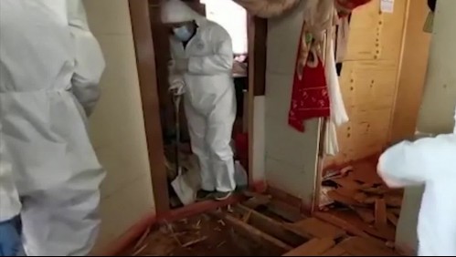 Los cabos sueltos del crimen de Ámbar Cornejo