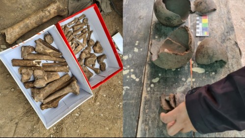 Encuentran restos arqueológicos mientras construían una piscina en el patio de su casa