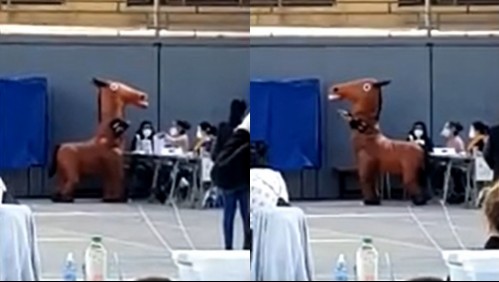 'Todos se reían': Hombre llega a votar disfrazado de caballo en Iquique