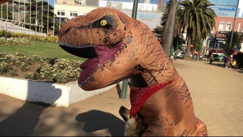 Personaje 'Corre Dinosaurio' tuvo problemas para ingresar a votar por su disfraz