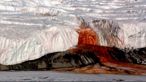 Revelan la razón detrás de las Cataratas de Sangre en la Antártida luego de 100 años de estudio
