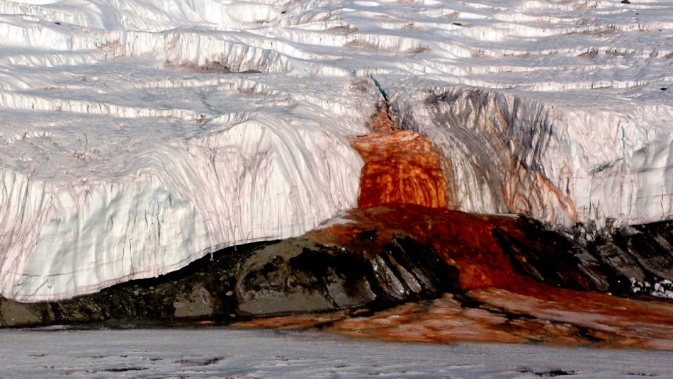 Revelan la razón detrás de las Cataratas de Sangre en la Antártida luego de 100 años de estudio Revelan la razón detrás de las Cataratas de Sangre en la Antártida luego de 100 años de estudio