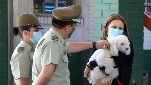 Final feliz: Recuperan perro robado en violento portonazo en La Florida