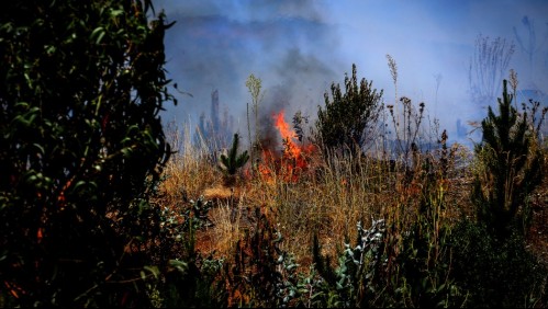 Declaran Alerta Temprana Preventiva para La Araucanía por peligro de incendios forestales