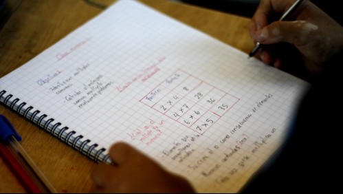 Piden aprobar proyecto que permite pasar de curso automáticamente