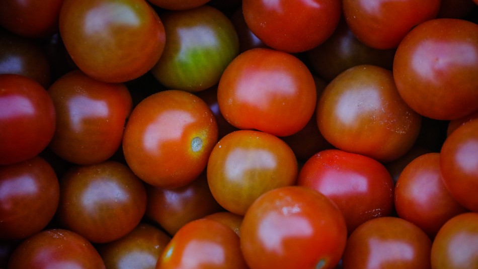 tomate ipc octubre 0,7% IPC de octubre: Por segundo mes consecutivo suben el tomate y la carne de vacuno