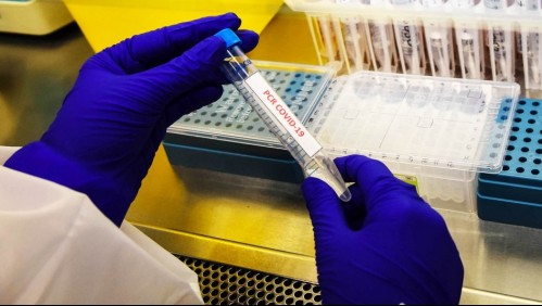 Colegio Médico por situación del coronavirus en Chile: 'El rebrote viene de todas maneras'