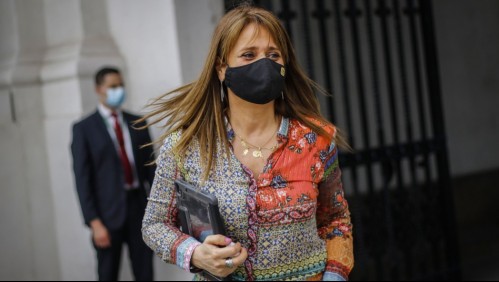 Ingreso Familiar de Emergencia Comunal: Lo que propone Van Rysselberghe para zonas en cuarentena