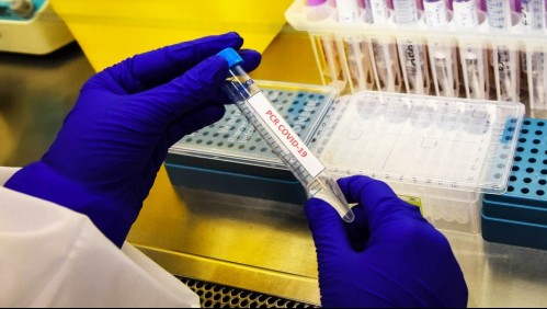 Temuco y Punta Arenas lideran comunas con más casos activos de coronavirus