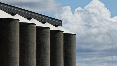 Mueren asfixiados por una montaña de cereal en Argentina: Eran compañeros de trabajo