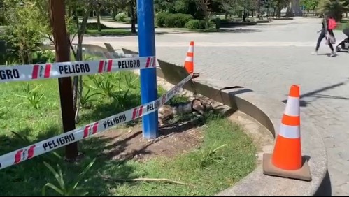 Perro muere electrocutado en Parque Quinta Normal tras tocar poste de las cámaras de vigilancia