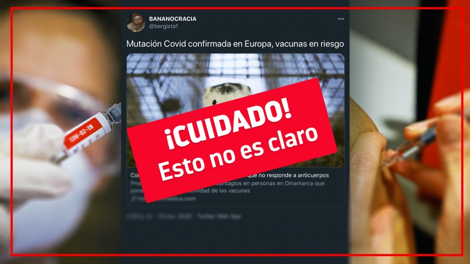 Fact checking: ¿La mutación del coronavirus perjudicará la efectividad de la vacuna? Fact checking: ¿La mutación del coronavirus perjudicará la efectividad de la vacuna?