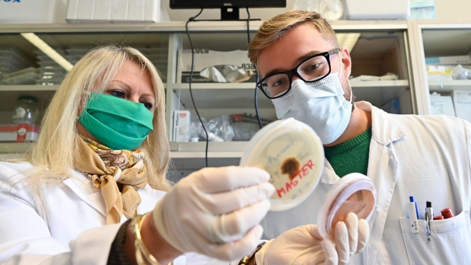 Científicos confirman transmisión humana de peligroso virus Chapare detectado en Bolivia Científicos confirman transmisión humana de peligroso virus Chapare detectado en Bolivia
