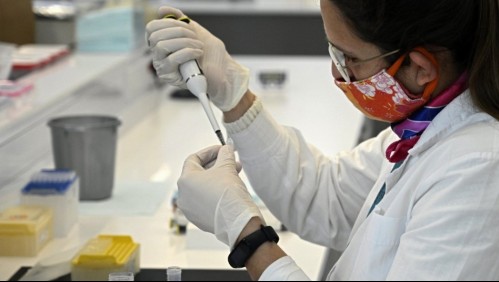 Estudio afirma que contraer coronavirus crea inmunidad durante al menos seis meses