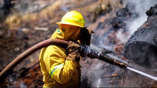 Declaran Alerta Roja por incendio forestal en la comuna de Alto Biobío
