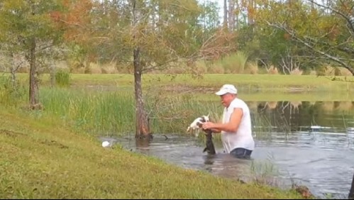 El video del hombre que salva a su perro de 3 meses de un cocodrilo