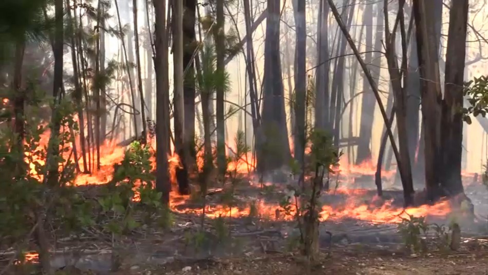 Familiares de brigadistas fallecidos en incendios forestales de 2017 siguen sin ser indemnizados Familiares de brigadistas fallecidos en incendios forestales de 2017 siguen sin ser indemnizados