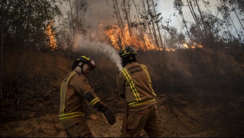 Declaran Alerta Temprana Preventiva por amenaza de incendio forestal en región de Valparaíso