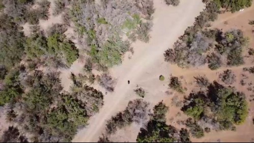 Chile 2050: El impresionante impacto del cambio climático en el país