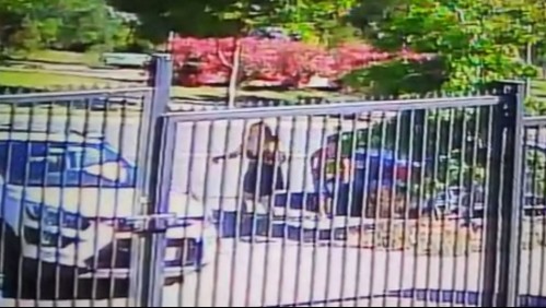 Video capta a menores que atacan en 'manada' a madre y pequeño hijo para robar su auto