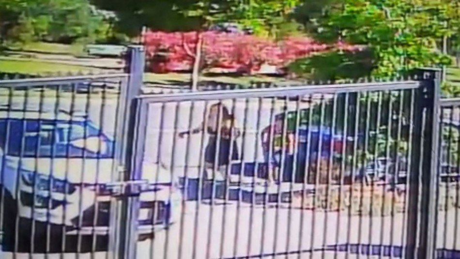 robo auto la florida Video capta a menores que atacan en