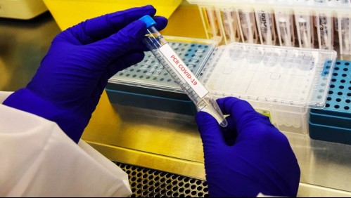 Balance diario de coronavirus: Minsal reporta 17 nuevas muertes y 1.389 contagios