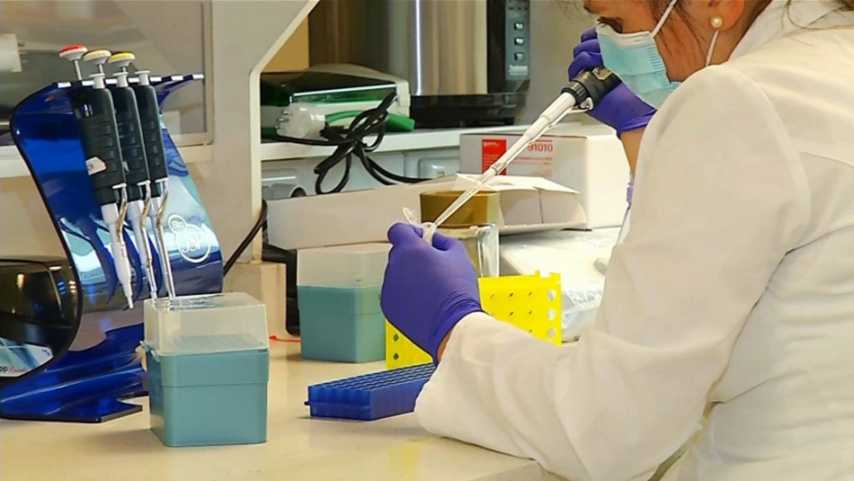 Científicos chilenos crean test para detectar el cáncer gástrico Científicos chilenos crean test para detectar el cáncer gástrico