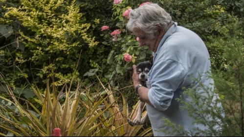 Pepe Mujica pide ser enterrado junto a los restos de su perra Manuela
