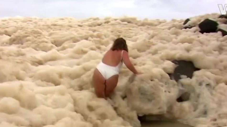 Mujer rescata a su perro perdido en un increíble mar de espuma Mujer rescata a su perro perdido en un increíble mar de espuma