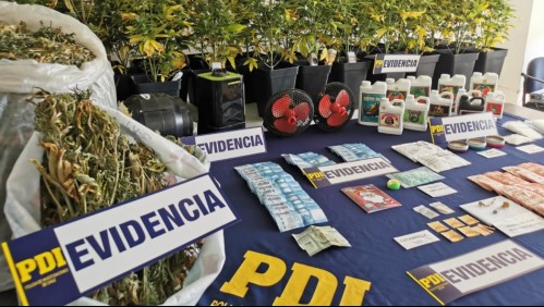 Incautan más de $200 millones en drogas: Vendía sustancias en tarjetas de Navidad