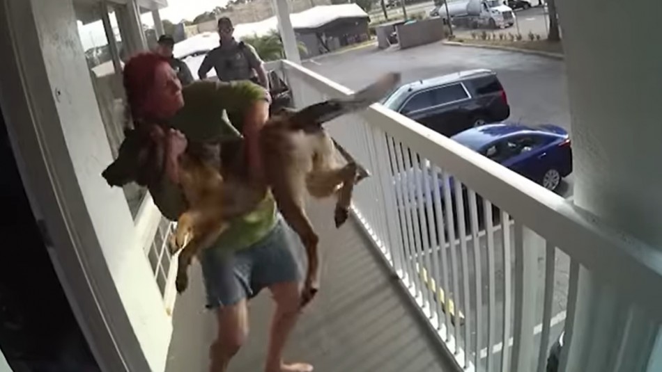 Mujer lanza a su perro desde un segundo piso durante detención policial Mujer lanza a su perro desde un segundo piso durante detención policial