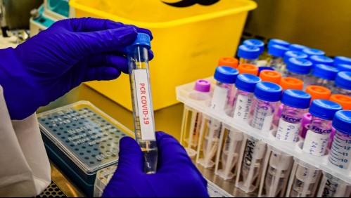 Balance coronavirus: Se reportan más de 2.200 nuevos contagios y 50 muertes en último día