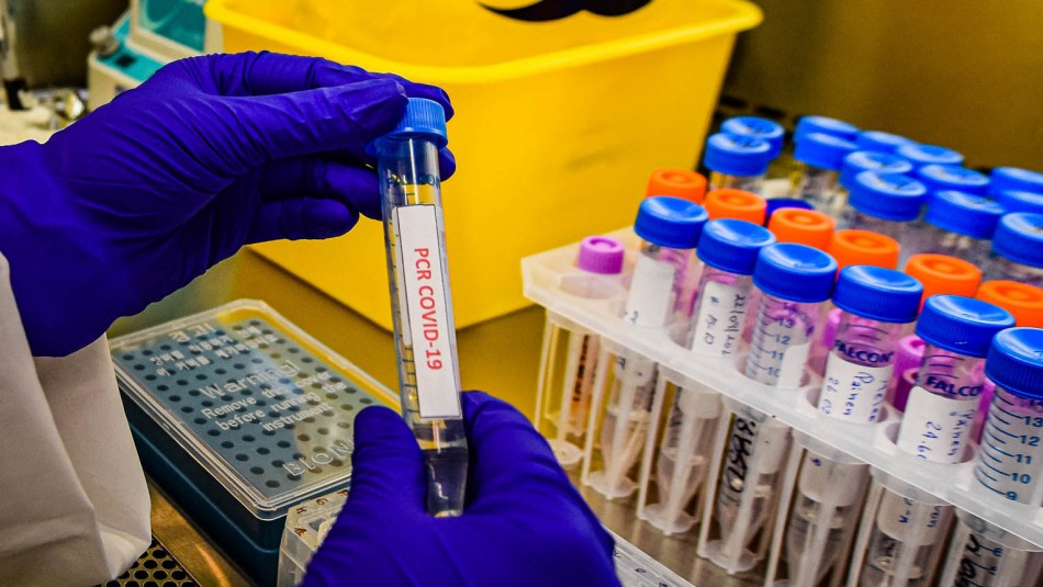 Imagen referencial Balance coronavirus: Se reportan más de 2.200 nuevos contagios y 50 muertes en último día