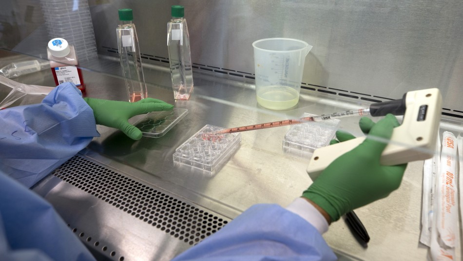 Imagen referencial de archivo Nueva cepa de coronavirus está