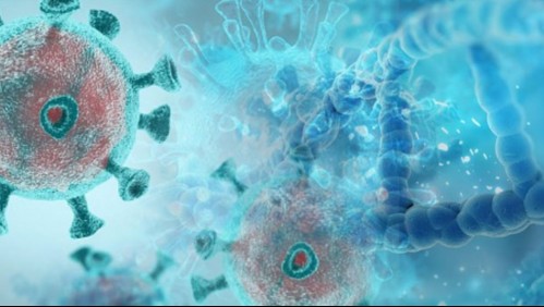 Nueva cepa de coronavirus: Variante que tiene en alerta al mundo no ha sido detectada en Chile