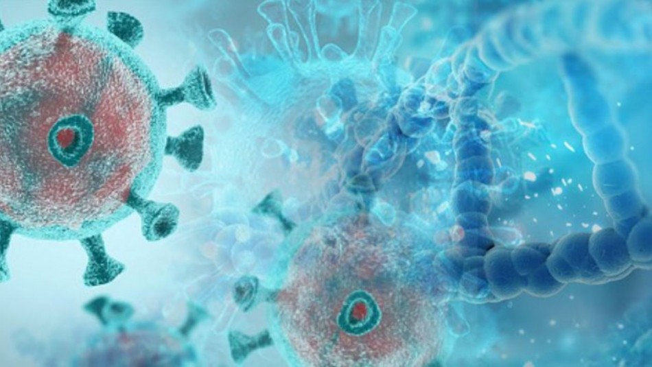 Nueva cepa de coronavirus: Variante que tiene en alerta al mundo no ha sido detectada en Chile Nueva cepa de coronavirus: Variante que tiene en alerta al mundo no ha sido detectada en Chile