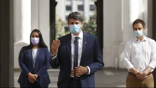 Ministro Couve y mutación del Covid-19: 'Es algo natural que hace el virus'