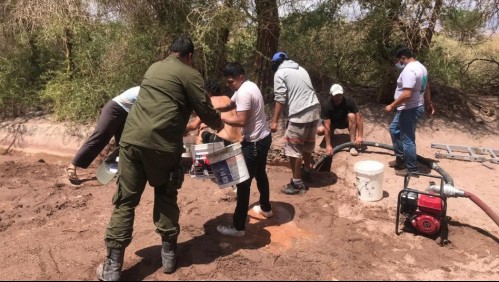 Vuelco en caso de bebé que cayó a un canal: Su madre es imputada por cuasidelito de homicidio
