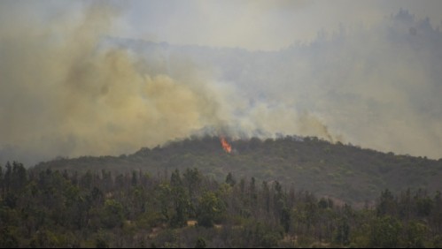 Se declara alerta roja por incendio forestal en la comuna de Valparaíso