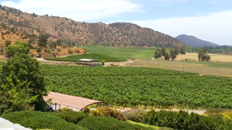 Ruta del vino: Enoturismo en tiempos de pandemia Ruta del vino: Enoturismo en tiempos de pandemia